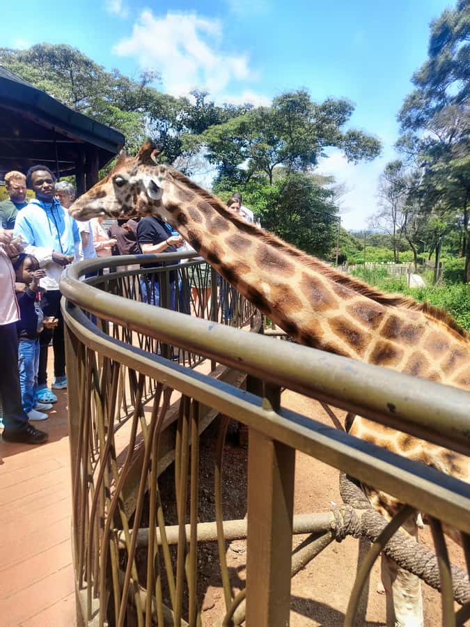 Nairobi: Museum, KICC, Giraffe Centre & Bomas of Kenya Tour - Kenyan music and dance at Bomas of Kenya