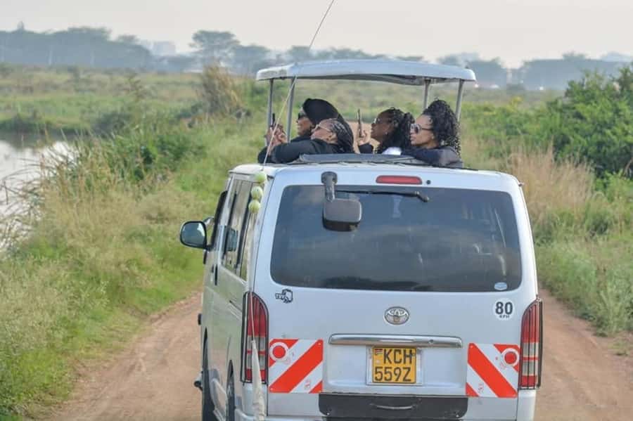Nairobi: Nairobi National Park Half-Day Game Drive - Pickup, transfers, and the first part of the day