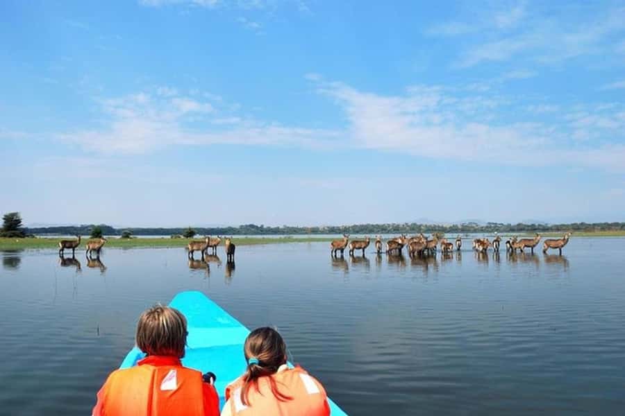 Nairobi: Nakuru National Park and Lake Naivasha Day Tour - What the $215 price really buys you