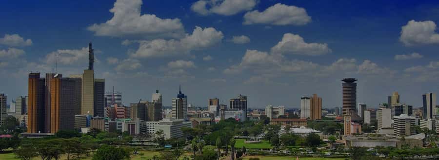 Nairobi National Museum & City Tour. - Key points at a glance