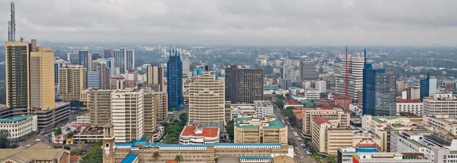Nairobi National Museum & City Tour. - Why this four-hour Nairobi tour works well