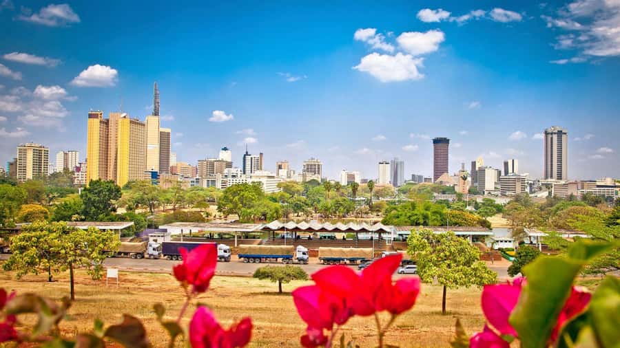 Nairobi National Museum & City Tour. - Nairobi National Museum: begin with context