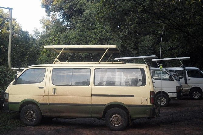 Nairobi National Park 1.p.m Game Drive - What the pop-up roof changes on a game drive