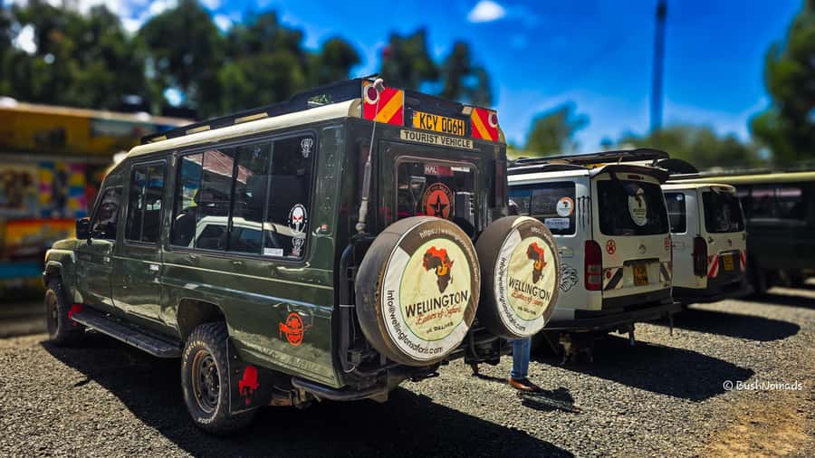 Nairobi National Park 5-hour Guided Game Drive Free Pick up - Nairobi’s skyline changes the safari experience
