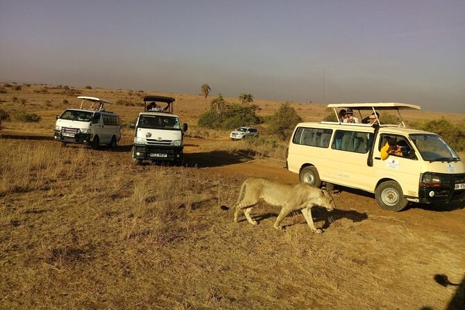 Nairobi National Park 6 am Group Joining Game drive. - The 6 am pickup and ride to the gate