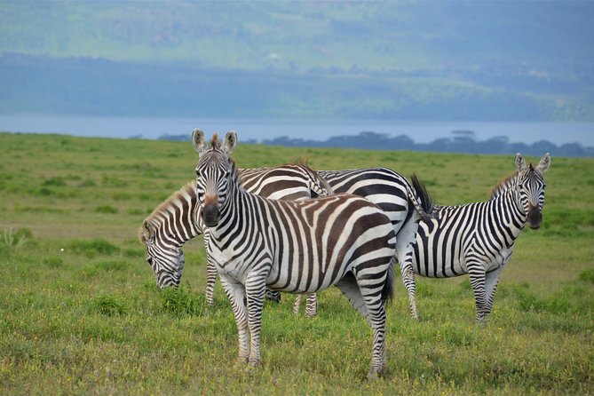 Nairobi National Park - Is $185 a fair price for this outing?