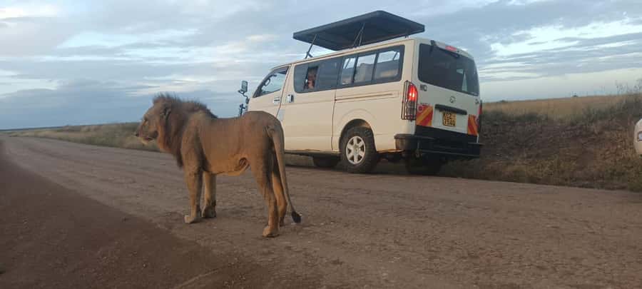 NAIROBI NATIONAL PARK AFTERNOON GAME DRIVE. - Key points to know before you book