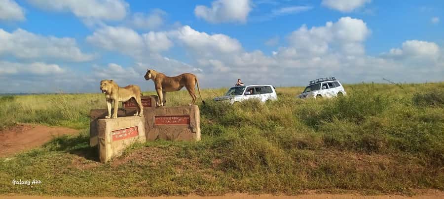 NAIROBI NATIONAL PARK AFTERNOON GAME DRIVE. - The restroom stop and small shop