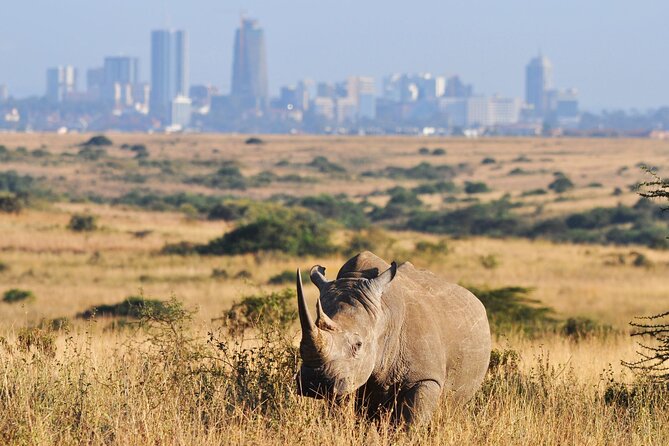 Nairobi National Park and Beads Factory Private Tour - Kazuri Beads Factory in Karen