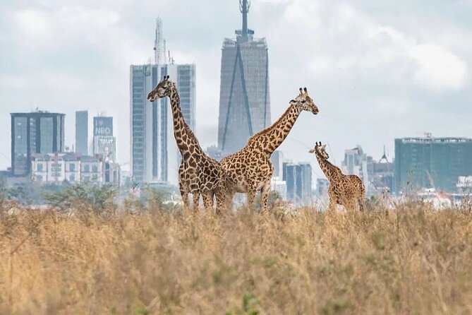 Nairobi National Park and Beads Factory Private Tour - The entrance walk and other park features