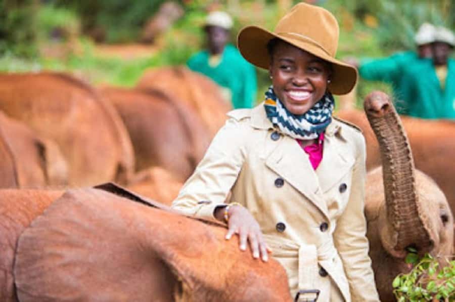 Nairobi national park and elephant orphanage - Nairobi National Park before the city wakes