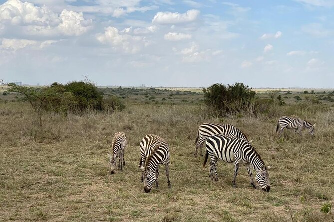 Nairobi national park and Giraffe center - Pickup, timing, and the shape of the day
