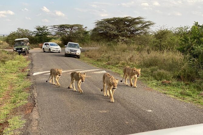 Nairobi national park and Giraffe center - How to make the most of the day