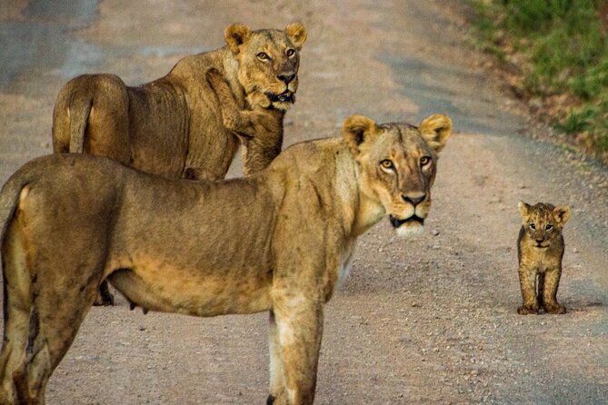 Nairobi National Park and Giraffe Center Daily Tours. - What the $100 price really covers