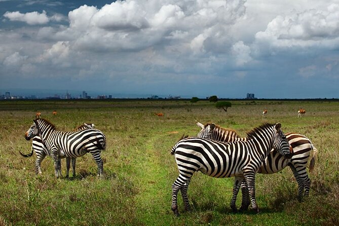 Nairobi National Park and Giraffe Center Day Tour - Key points to know before booking