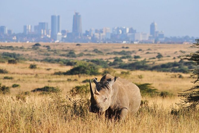 Nairobi National Park and Giraffe Center Day Tour - Booking details, cancellation, and practical costs