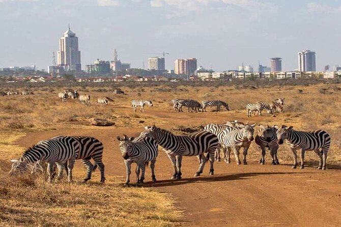 Nairobi National Park and Giraffe Center from Kenya with a Guide - What the five-hour schedule really gives you