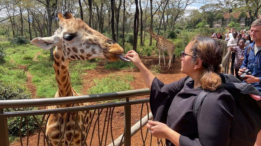 Nairobi National Park, Baby Elephant and Giraffe Centre Tour - The four-hour drive through Nairobi National Park