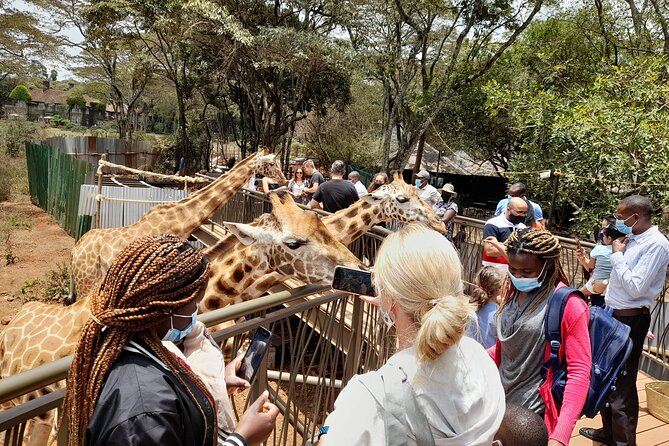 Nairobi: National park, baby Elephant, Giraffe center - Is the $44 starting price good value?