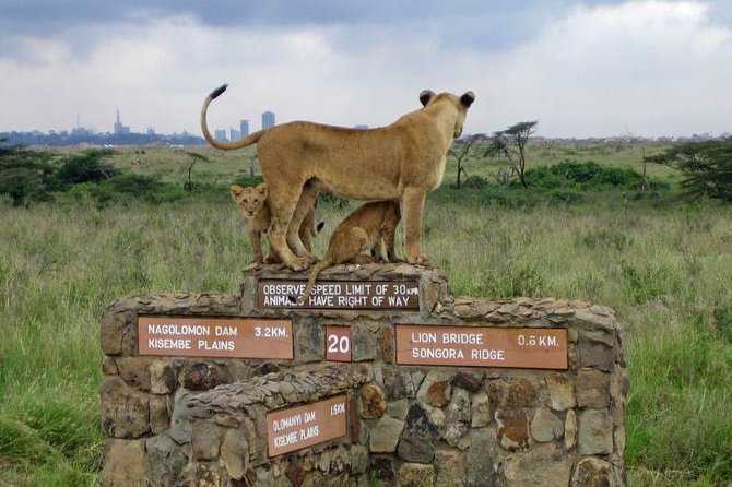 Nairobi National Park, Baby Elephant Orphanage and Giraffe Center - What three hours inside the park can deliver