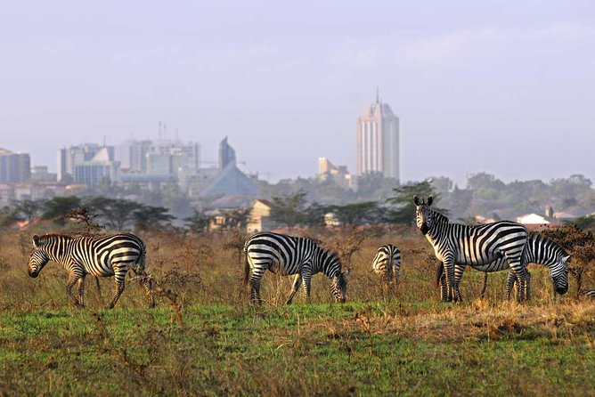 Nairobi National Park, Baby Elephant Orphanage and Giraffe Center - What the $52 price really covers