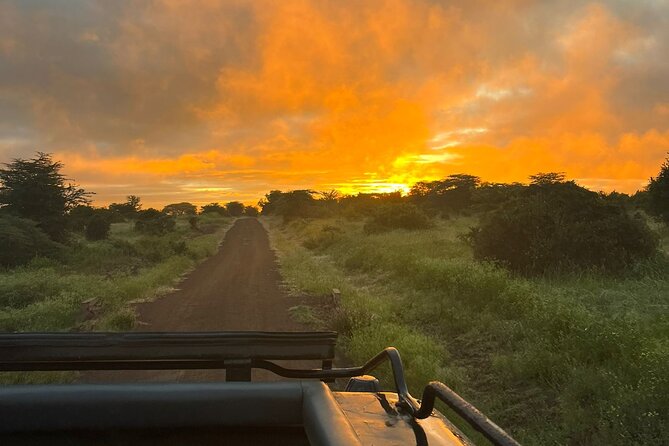 Nairobi National Park Daily Game drives. - Who will get the most from this game drive