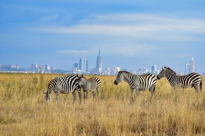 Nairobi National Park Early Morning or Afternoon Game Drive - The Ivory burning site monument