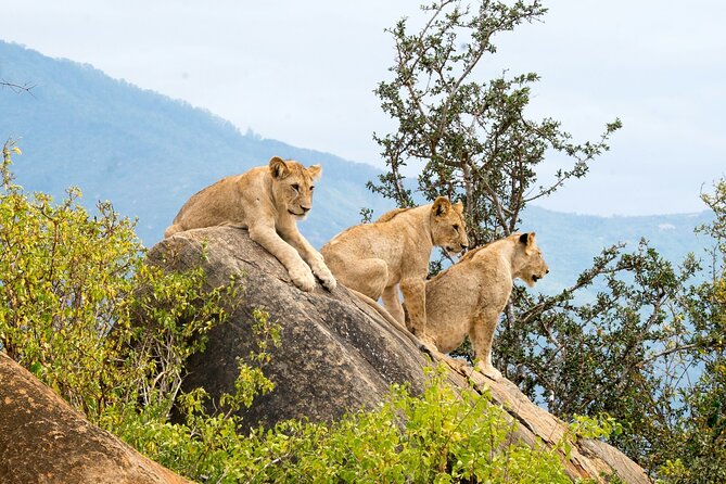 Nairobi National Park Early Morning or Afternoon Game Drive - Walking the hippo pool trails