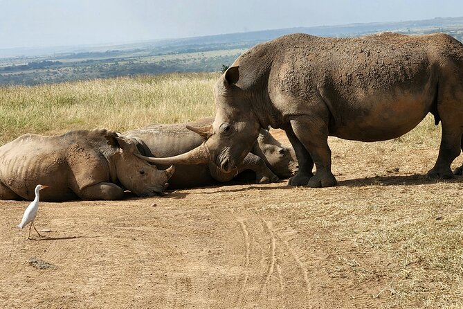 Nairobi National Park, Elephant Orphanage and Giraffe Center Tour - Utamaduni Craft Centre offers a second shopping stop