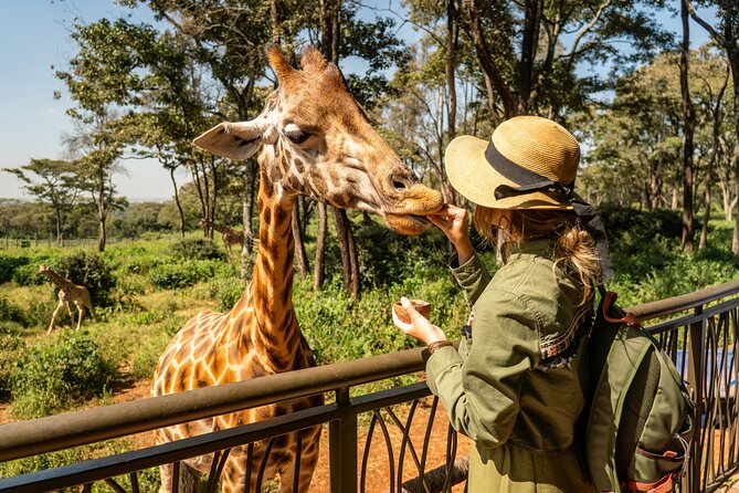 Nairobi National Park, Elephant Orphanage and Giraffe Centre - Key points at a glance