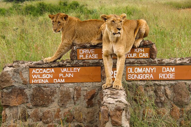 Nairobi National Park, Elephant Orphanage and Giraffe Centre - Nairobi National Park, where the skyline meets the savanna