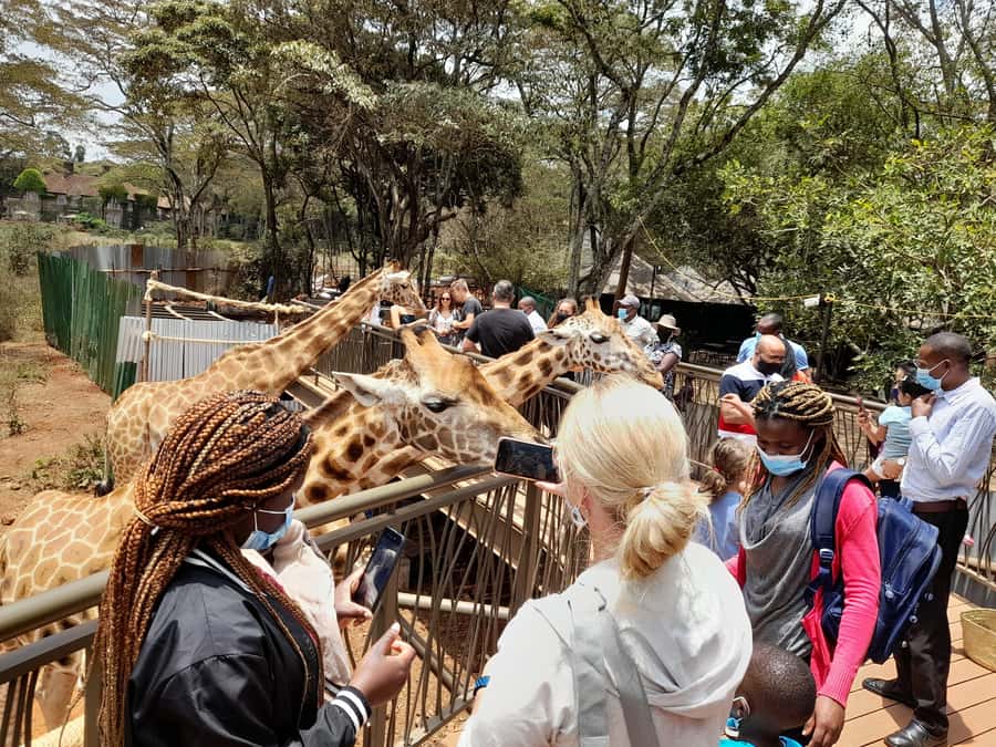Nairobi: National Park, Elephant Orphanage, and Giraffe Tour - Nairobi’s skyline meets the savanna