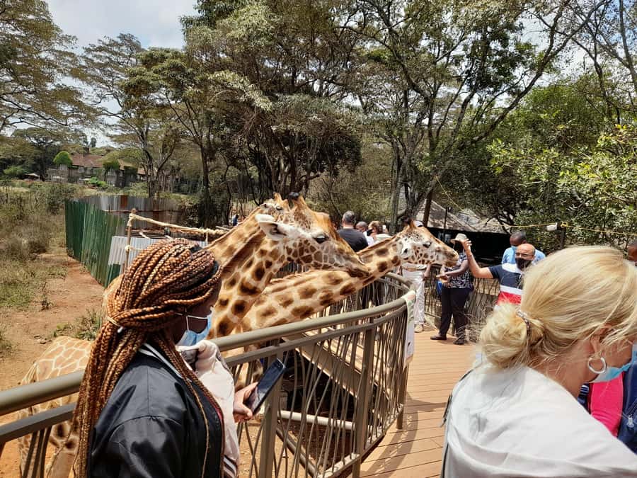 Nairobi: National Park, Elephant Orphanage, and Giraffe Tour - Kobe Tough Beads and Nairobi craftsmanship