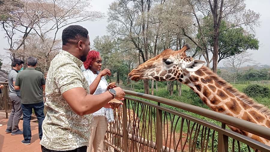Nairobi: National Park, Elephant Orphanage, & Giraffe Centre - Key points to know before booking