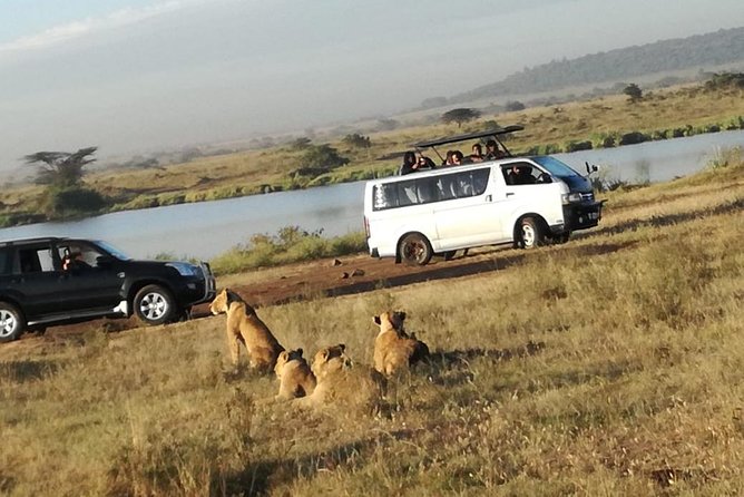 Nairobi National Park, Elephant Orphanage, Giraffe Centre Tour - Transport, group size, and the early pickup