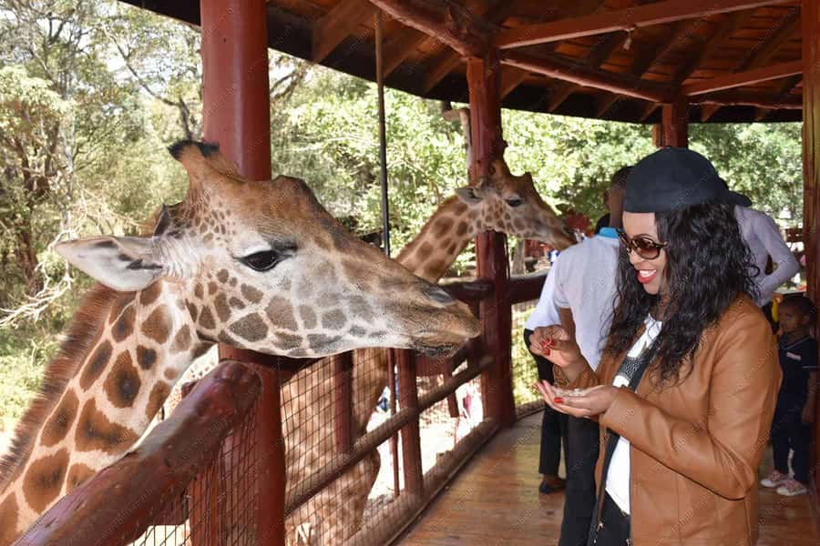 Nairobi: National Park, Elephant Orphanage, & Giraffe Centre - Karen Blixen’s home at the foot of the Ngong Hills