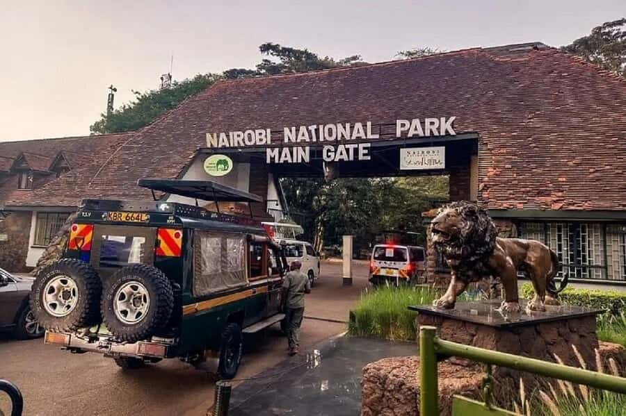 Nairobi: National Park, Elephant Orphanage & Giraffe Tour - A wildlife day that begins inside Nairobi