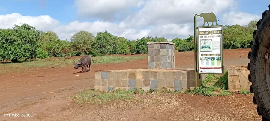 Nairobi; National Park, Elephant Sanctuary & Giraffe Center. - Should you book it?