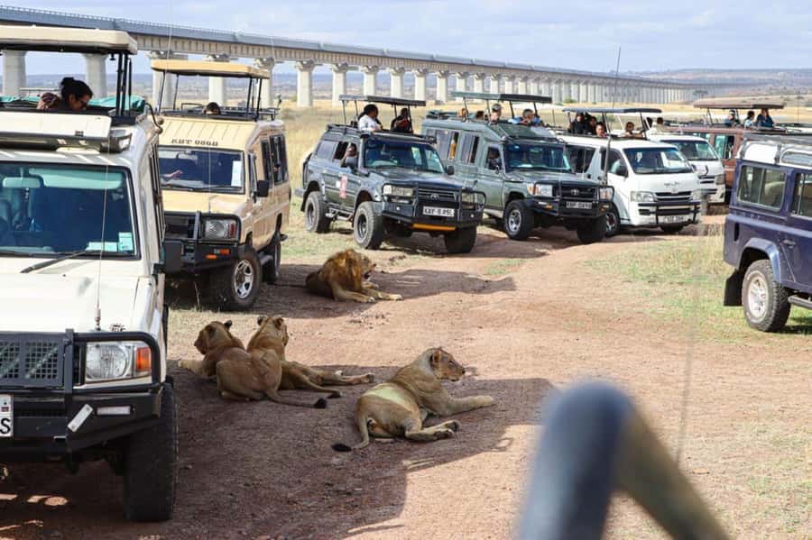Nairobi National Park Evening Game Drive - What the open-roofed van adds