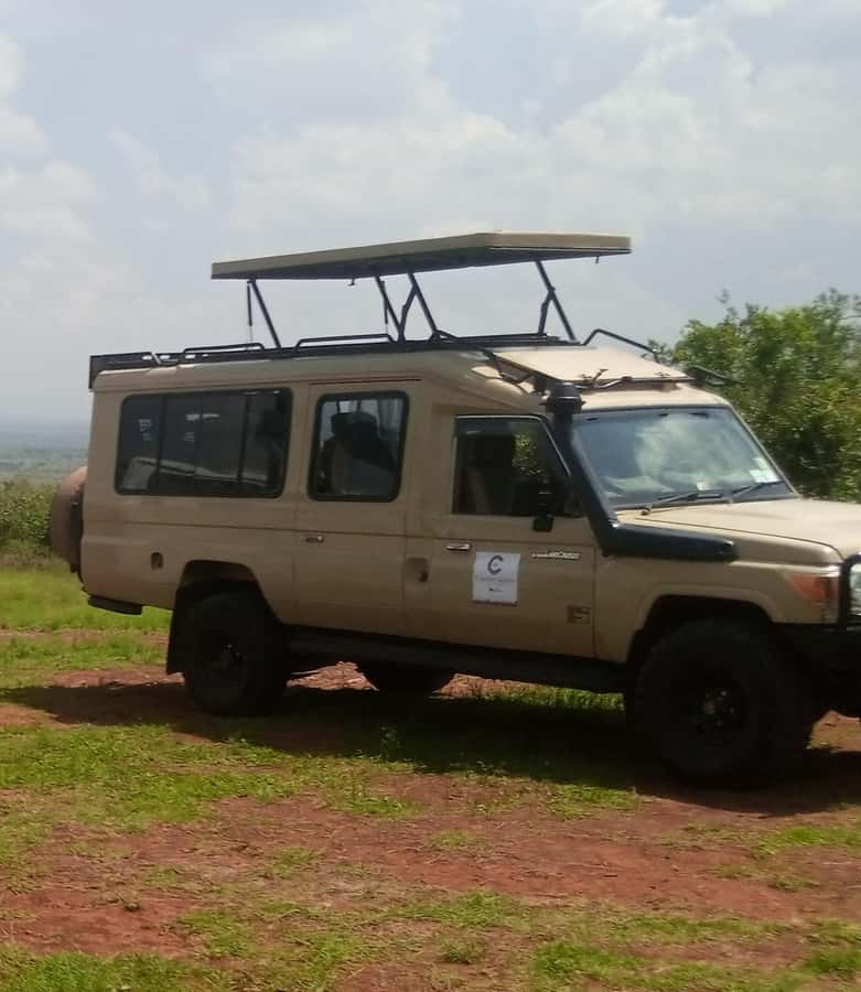 Nairobi National Park Full-Day Tour: Private 4WD with Guide - Why Nairobi National Park makes this tour different