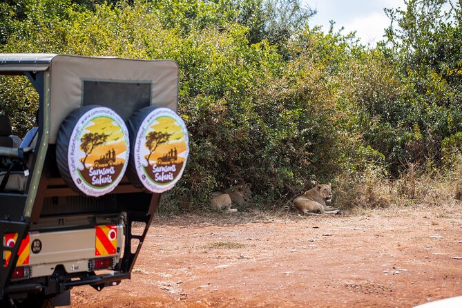 Nairobi National Park Game Drive - Shared Experience in Open Jeep - What the shared open jeep adds