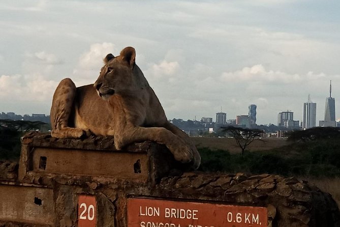 Nairobi National Park Game Drive With Free Pick Up Group Joining - Booking details worth checking first