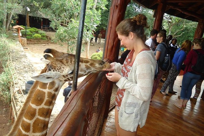 Nairobi National Park, Giraffe Center and Elephant Orphanage Day Tour from Nairobi - Transport, group size, and what the price covers