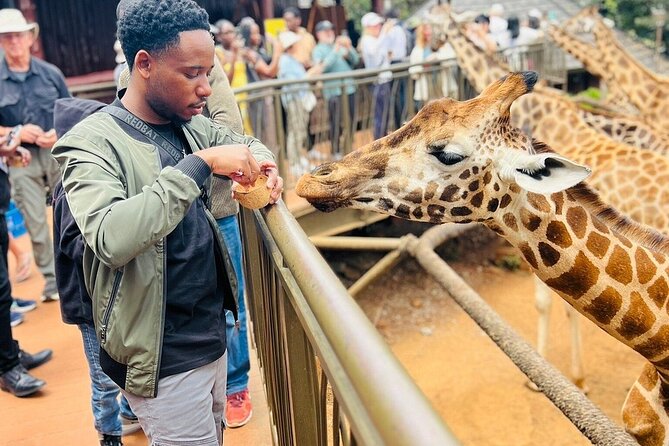 Nairobi National Park Giraffe Center Carnivore Lunch - A city safari that feels genuinely unusual