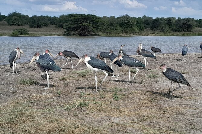Nairobi National Park Giraffe Center Carnivore Lunch - What the $120 price really covers