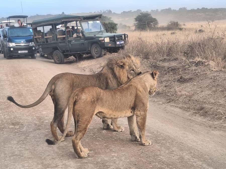 Nairobi National Park,Giraffe Center,Orpanage&Karen Blixxen - What to bring and how to prepare