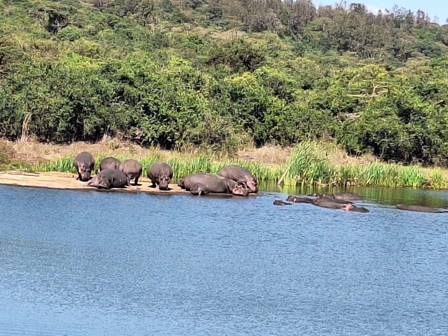 Nairobi National Park,Giraffe Center,Orpanage&Karen Blixxen - Booking advice and cancellation terms