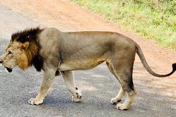 Nairobi National Park,Giraffe Centre, Karen Blixen Museum. - Karen Blixen Museum and the final stretch