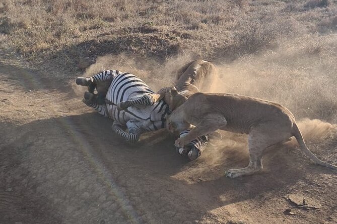 Nairobi National Park Group Shared Tour - Who should book this shared game drive?