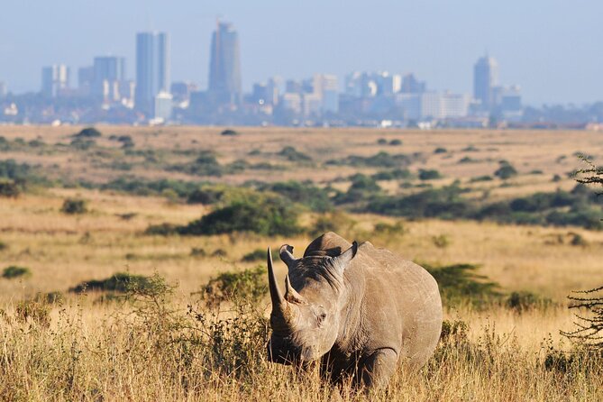 Nairobi National Park Group Shared Tour - Entering Nairobi National Park from Langata Road